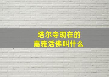 塔尔寺现在的嘉雅活佛叫什么