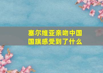 塞尔维亚亲吻中国国旗感受到了什么