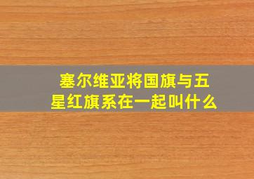 塞尔维亚将国旗与五星红旗系在一起叫什么