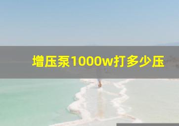 增压泵1000w打多少压