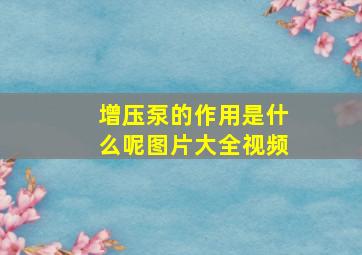 增压泵的作用是什么呢图片大全视频