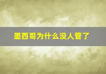 墨西哥为什么没人管了