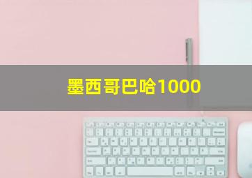 墨西哥巴哈1000