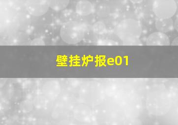 壁挂炉报e01