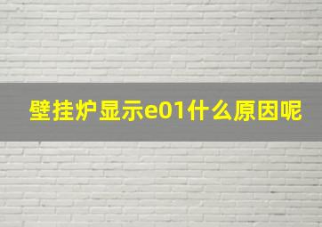 壁挂炉显示e01什么原因呢