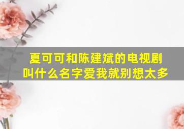 夏可可和陈建斌的电视剧叫什么名字爱我就别想太多