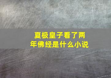 夏极皇子看了两年佛经是什么小说