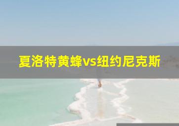 夏洛特黄蜂vs纽约尼克斯