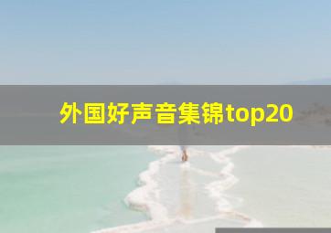 外国好声音集锦top20