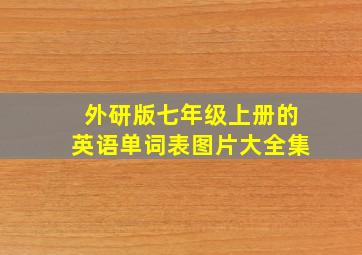 外研版七年级上册的英语单词表图片大全集