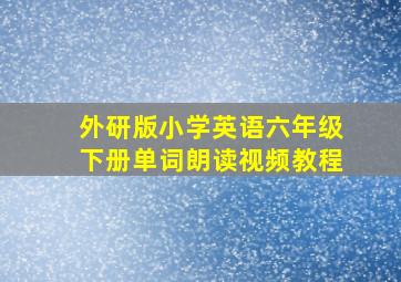 外研版小学英语六年级下册单词朗读视频教程