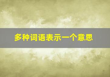 多种词语表示一个意思