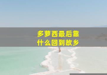 多萝西最后靠什么回到故乡