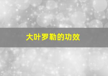 大叶罗勒的功效