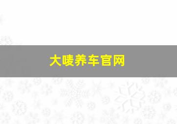 大唛养车官网