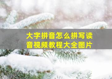 大字拼音怎么拼写读音视频教程大全图片