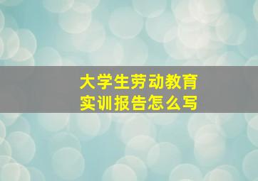 大学生劳动教育实训报告怎么写