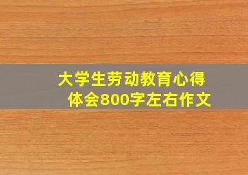 大学生劳动教育心得体会800字左右作文