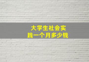 大学生社会实践一个月多少钱