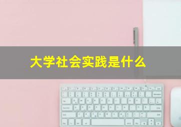 大学社会实践是什么