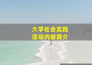 大学社会实践活动内容简介