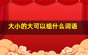 大小的大可以组什么词语