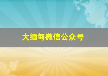 大缅甸微信公众号