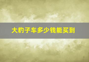 大豹子车多少钱能买到