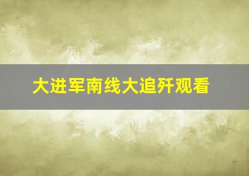 大进军南线大追歼观看