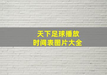 天下足球播放时间表图片大全