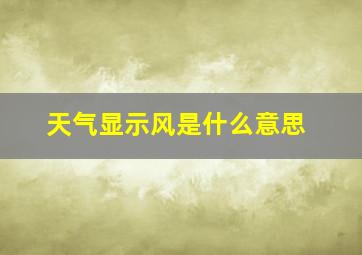 天气显示风是什么意思