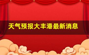 天气预报大丰港最新消息