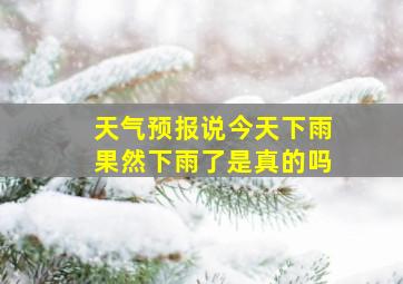 天气预报说今天下雨果然下雨了是真的吗