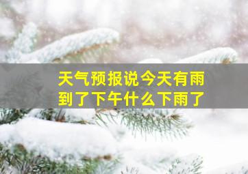 天气预报说今天有雨到了下午什么下雨了