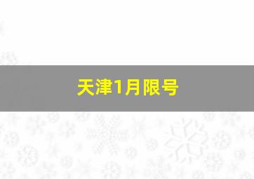 天津1月限号