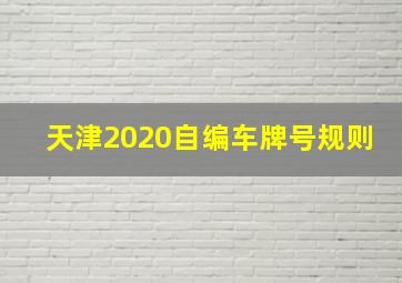 天津2020自编车牌号规则