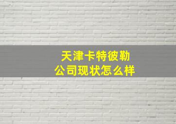 天津卡特彼勒公司现状怎么样