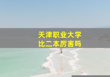 天津职业大学比二本厉害吗