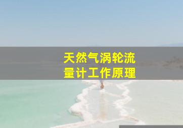 天然气涡轮流量计工作原理