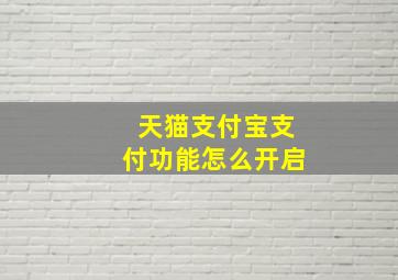 天猫支付宝支付功能怎么开启