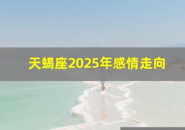 天蝎座2025年感情走向