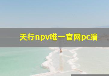 天行npv唯一官网pc端