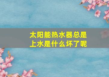 太阳能热水器总是上水是什么坏了呢