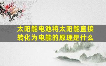 太阳能电池将太阳能直接转化为电能的原理是什么