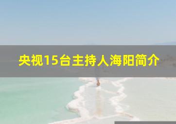 央视15台主持人海阳简介