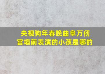 央视狗年春晚曲阜万仞宫墙前表演的小孩是哪的