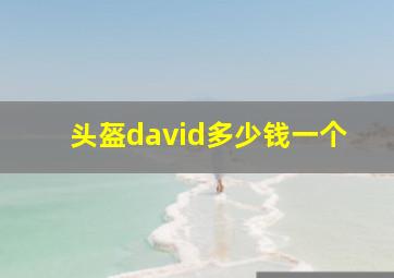 头盔david多少钱一个