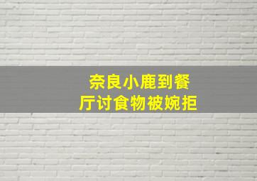 奈良小鹿到餐厅讨食物被婉拒