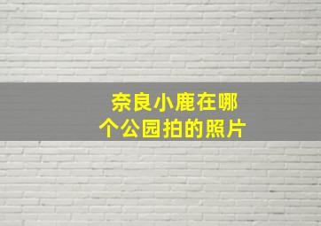 奈良小鹿在哪个公园拍的照片