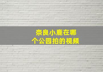 奈良小鹿在哪个公园拍的视频